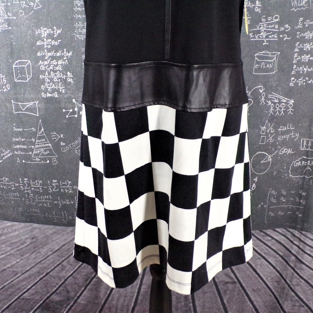 🏁Emma & Michelle Check Shift Dress - Picture 7 of 8